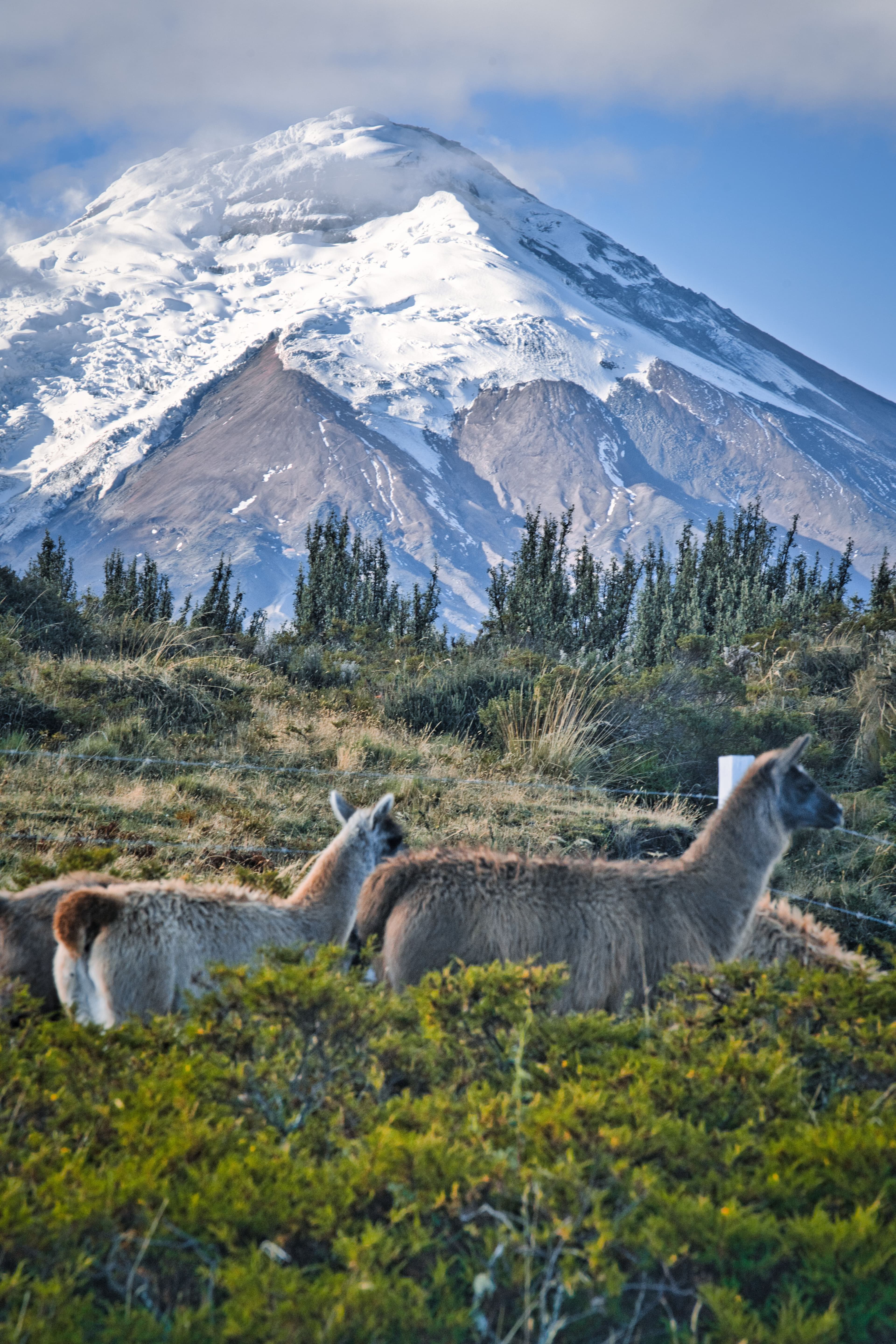 ECUADOR: VOLCANOES & RIVERS