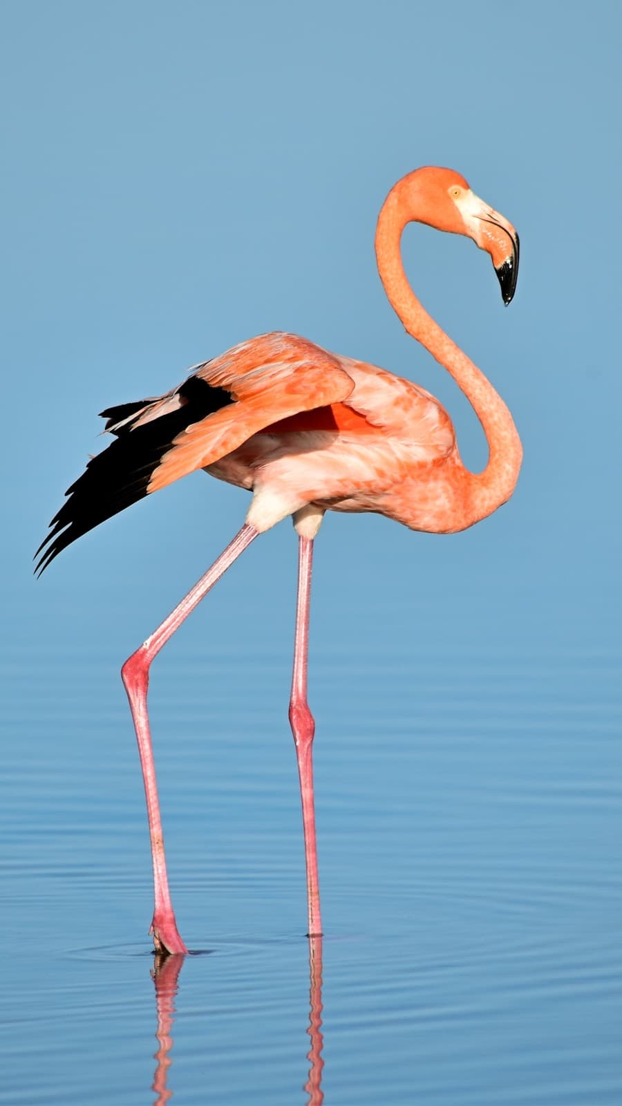ECUADOR & GALÁPAGOS ISLANDS – 11 DAYS / 10 NIGHTS