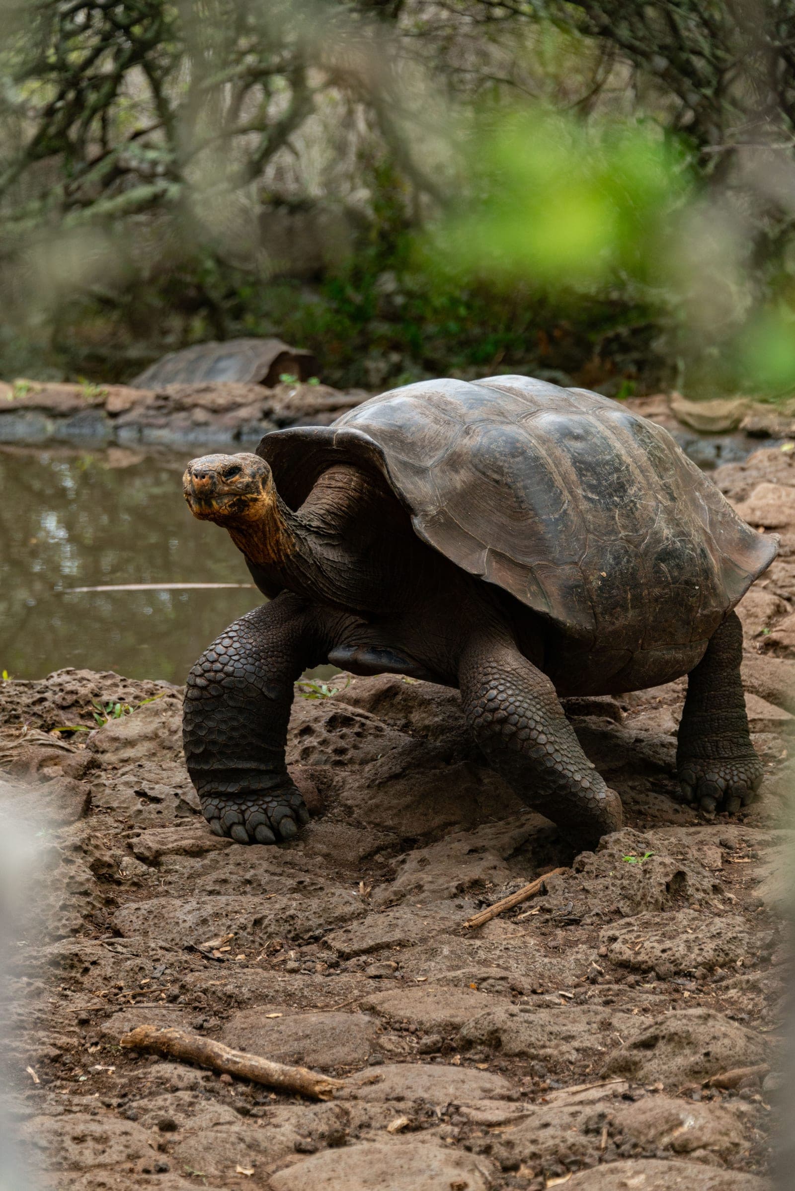GALÁPAGOS ISLANDS – 4-DAY ITINERARY