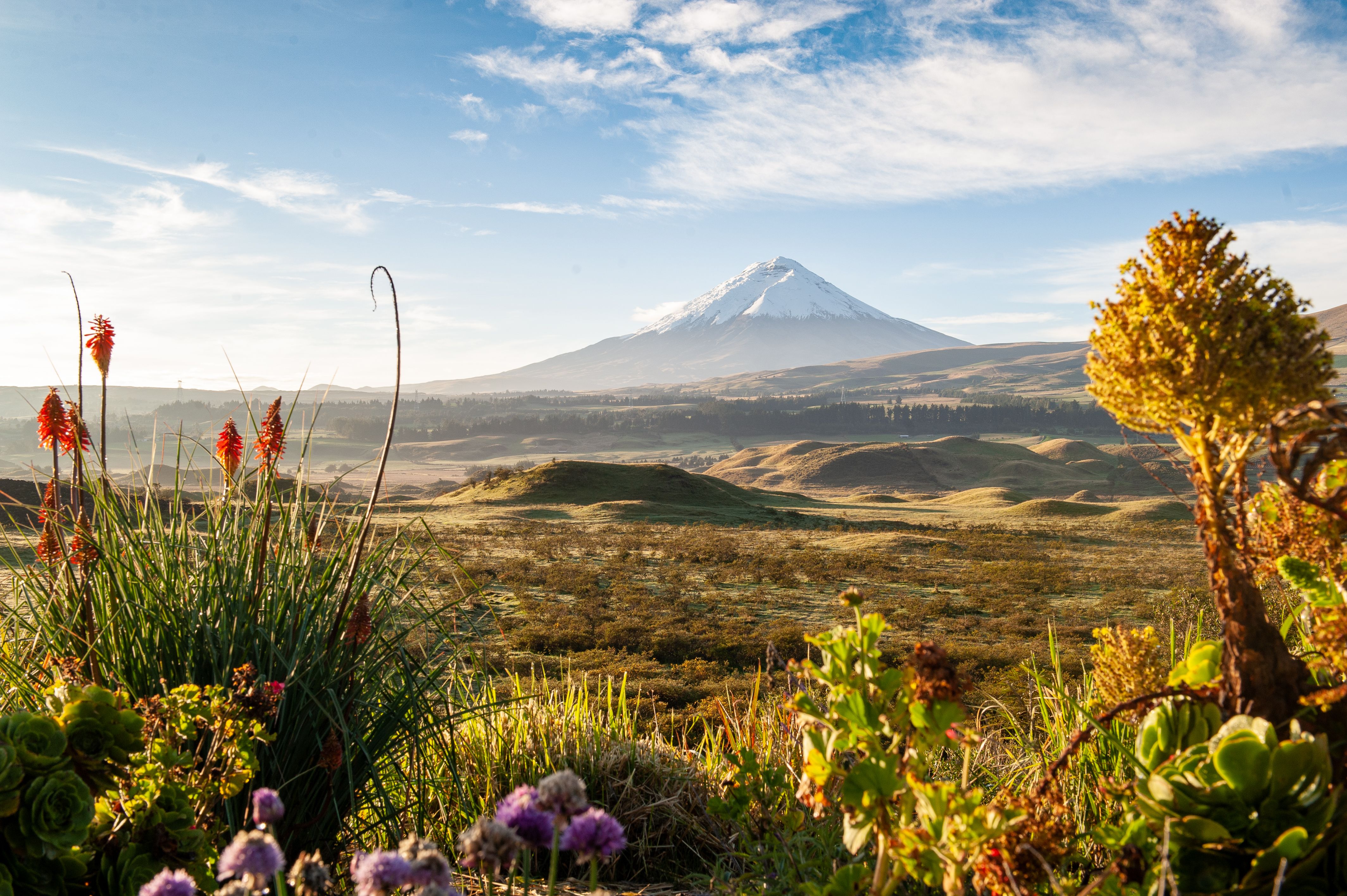 Chimborazo - Andes