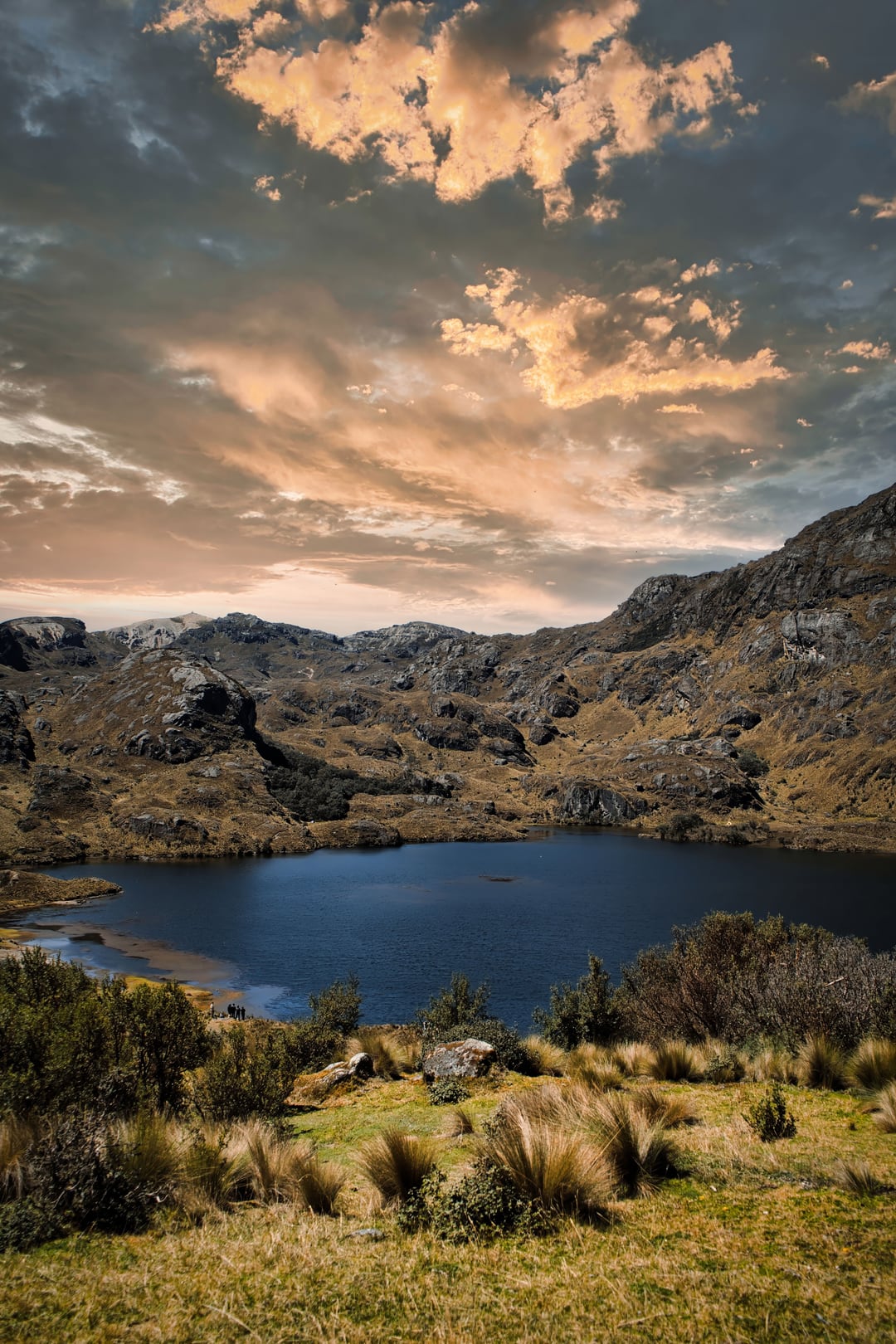 ECUADOR FANTASTIC: ANDES, AMAZON & COAST (8 DAYS)