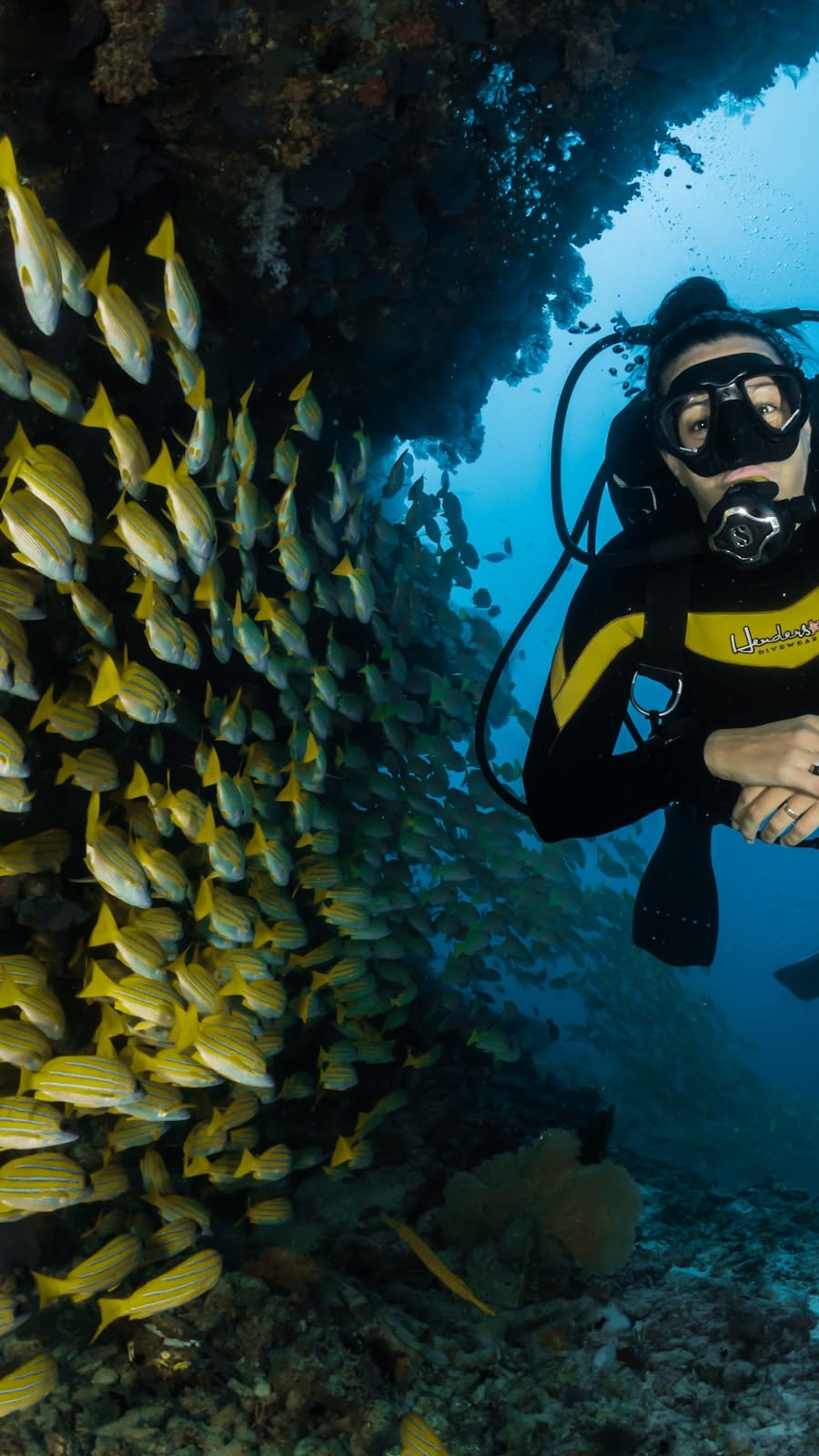 ECUADOR & GALÁPAGOS ISLANDS (11 DAYS / 10 NIGHTS)