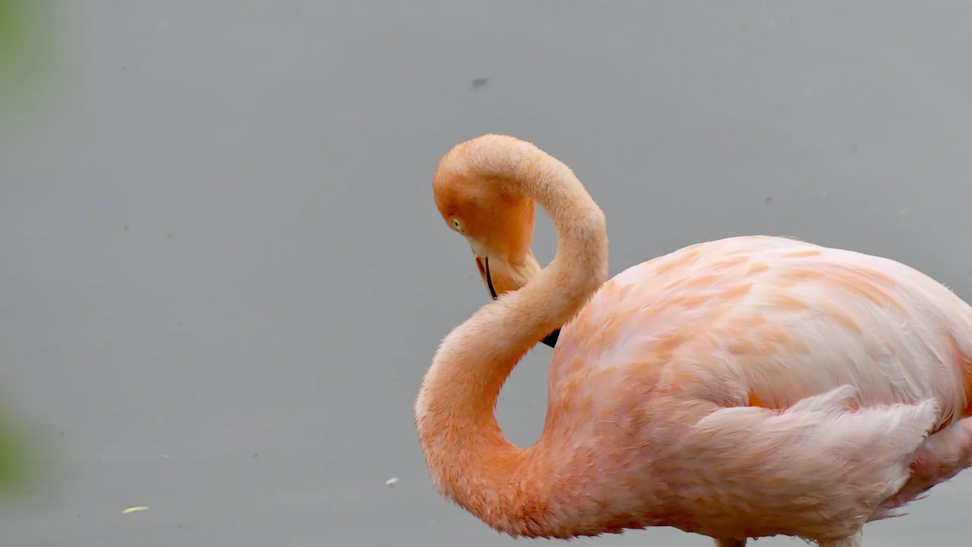 Lagune des Flamants et Centre Arnaldo Tupiza