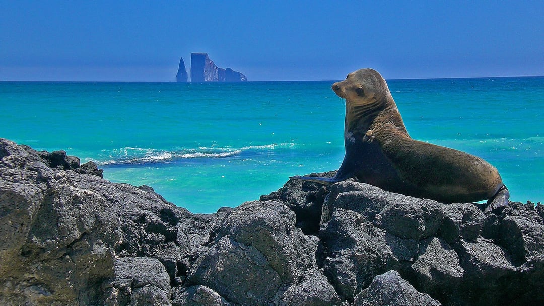 ÎLES GALAPAGOS – ITINÉRAIRE DE 5 JOURS