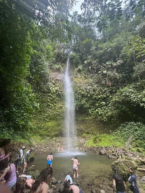 Napo - Amazon Rainforest