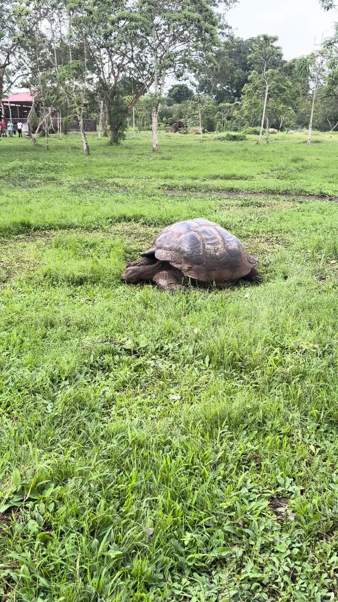 Galapagos Encounter: 6-Day Expedition (With Quito Transfers)